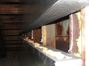 effective attic insulation Fargo, Minneapolis & St. Paul